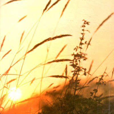 Mozart* - Moura Lympany*, The Virtuosi Of England, Arthur Davison - Piano Concerto No. 21 "Elvira Madigan" - Eine Kleine Nachtmusik