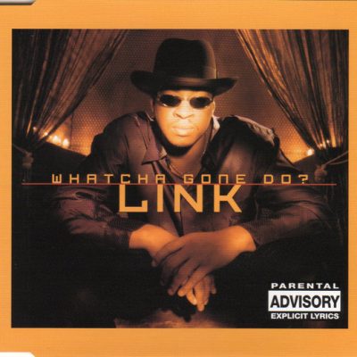 Link (3) - Whatcha Gone Do?